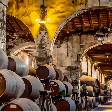 Brianna Jerez Apartman