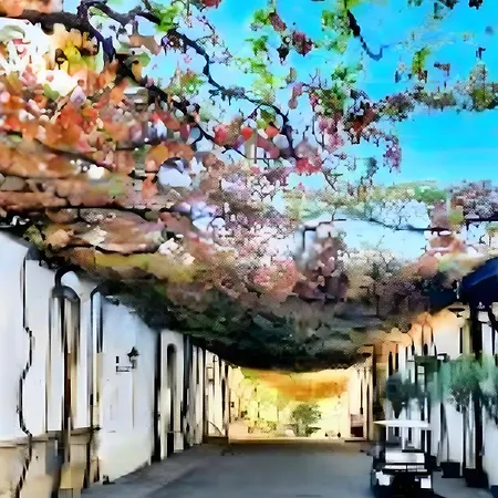 公寓 Brianna Jerez *